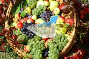 Exportsteigerung Obst und Gemüse